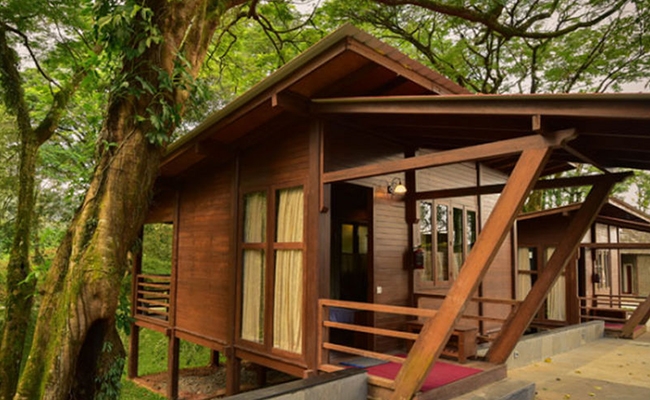 Thiết kế nhà gỗ